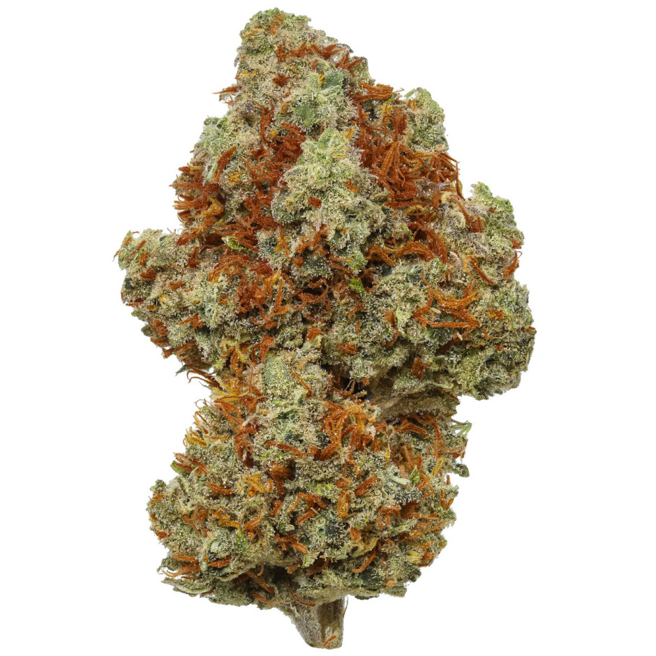 Super Lemon Haze Sativa Marijuana Bud
