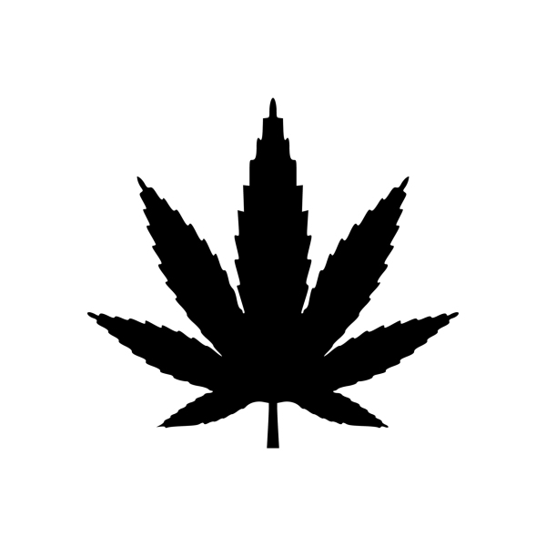 pot leaf marijuana leaf