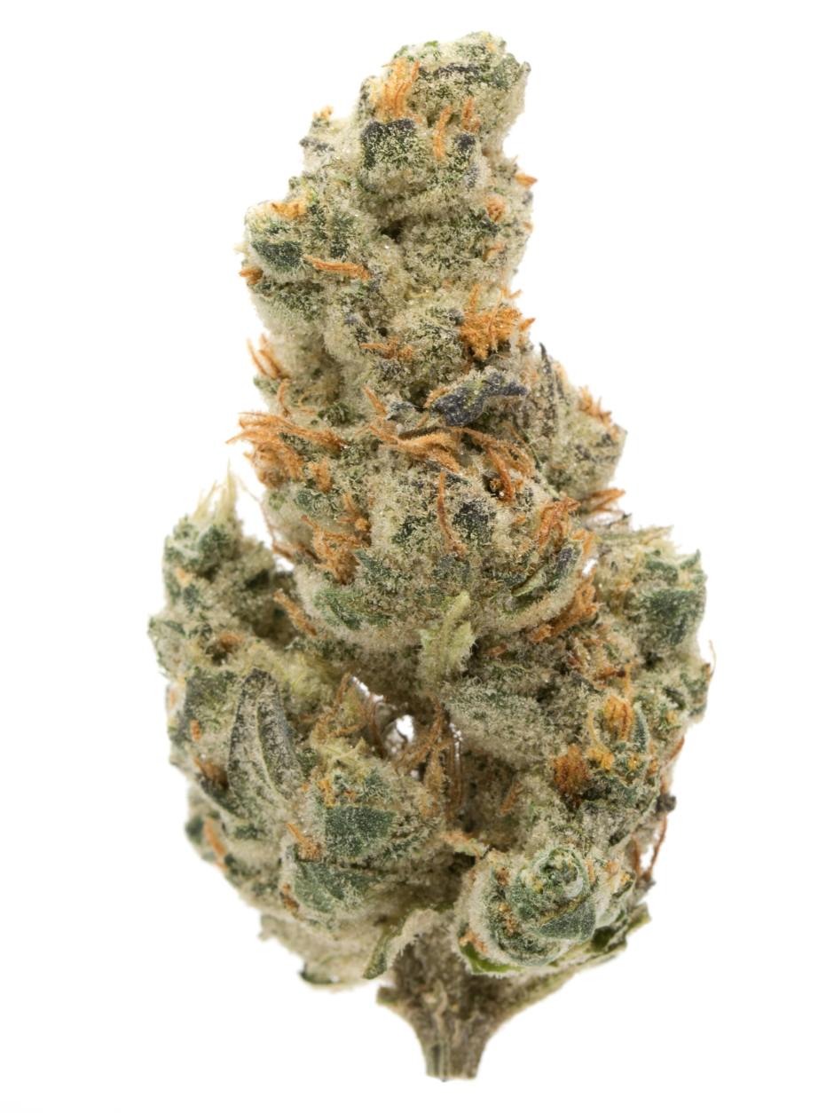 GMO Cookies Hybrid Marijuana Bud