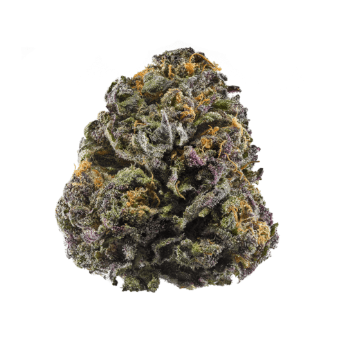 Granddaddy Purple Marijuana Pot Bud Indica